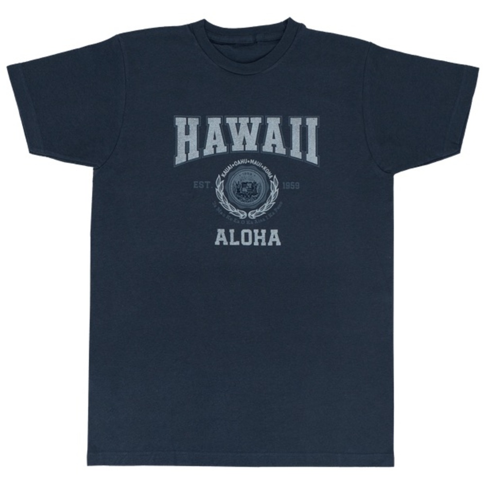NWT Blue Distressed Graphic Hawaii Short Sleeve T-Shirt | Medium